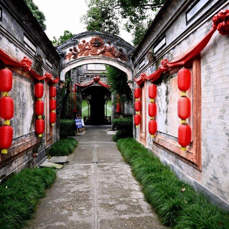 奔跑的兔子